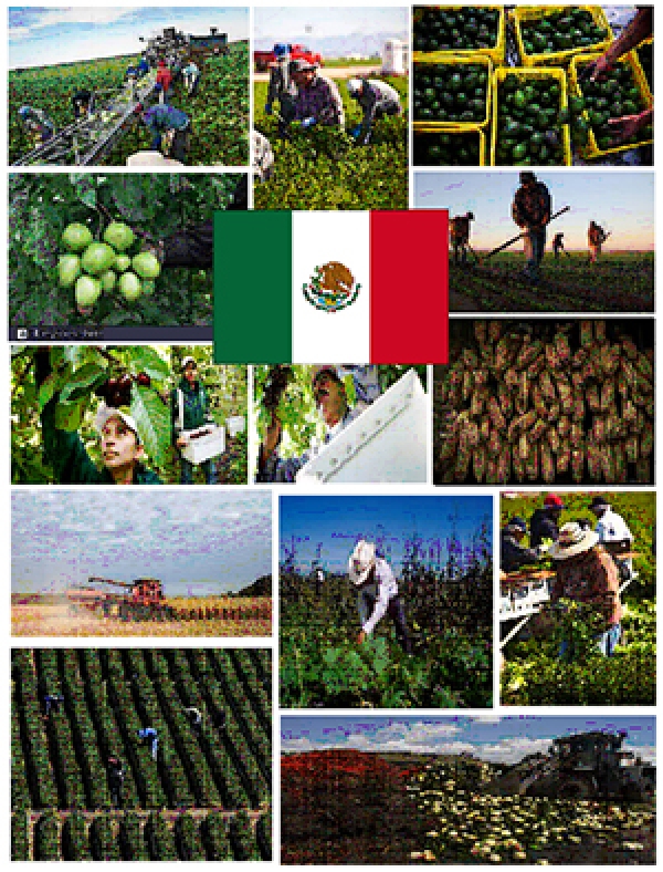 تحولات توسعه کشاورزی، آب و روستایی کشور مکزیک و عوامل مؤثر بر آن