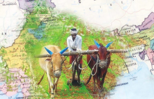 بخش کشاورزی و آب هند