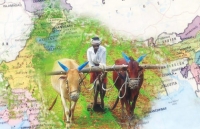 بخش کشاورزی و آب هند