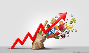 گزارش ماهیانه پایش و تحلیل قیمت مواد غذایی جولای 2024